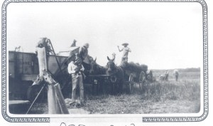 German POWs in the rice fields near Angleton, TX, provided by Brazoria County Historical Museum