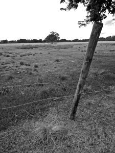 Abandoned rice farm near Camp Angleton, TX, photographed by author 2013
